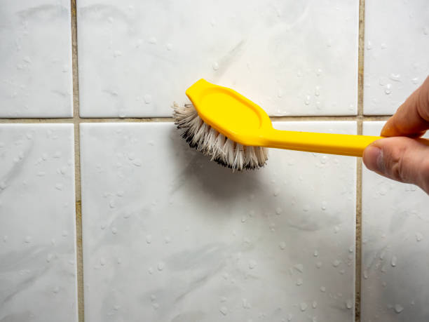 Best Mold Damage Repair  in Franklin, MI