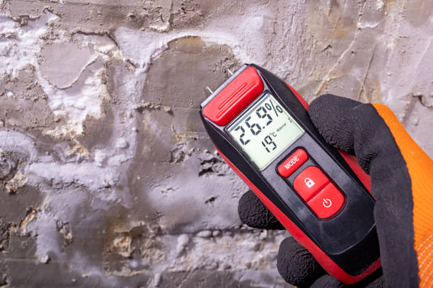 Best Mold Testing  in Franklin, MI