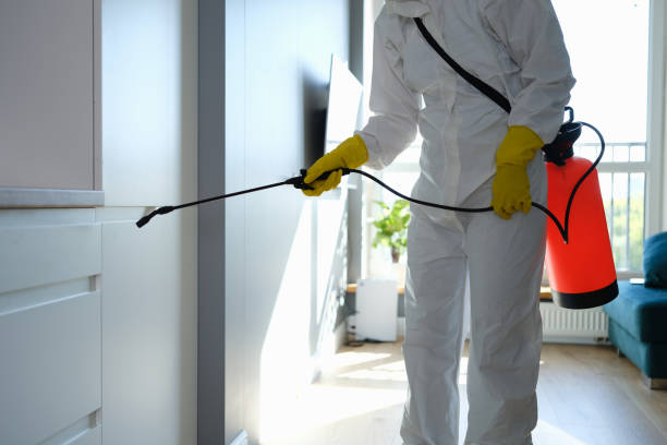 Best Mold Removal Specialists  in Franklin, MI