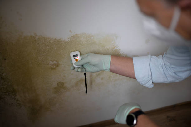 Best Mold Testing  in Franklin, MI