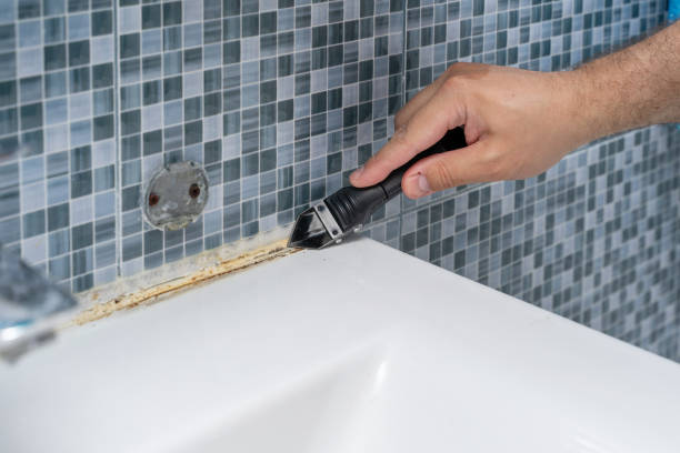 Best Emergency Mold Removal  in Franklin, MI