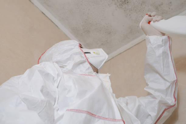 Best Office Mold Removal Services  in Franklin, MI